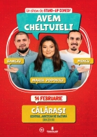 avem cheltuieli